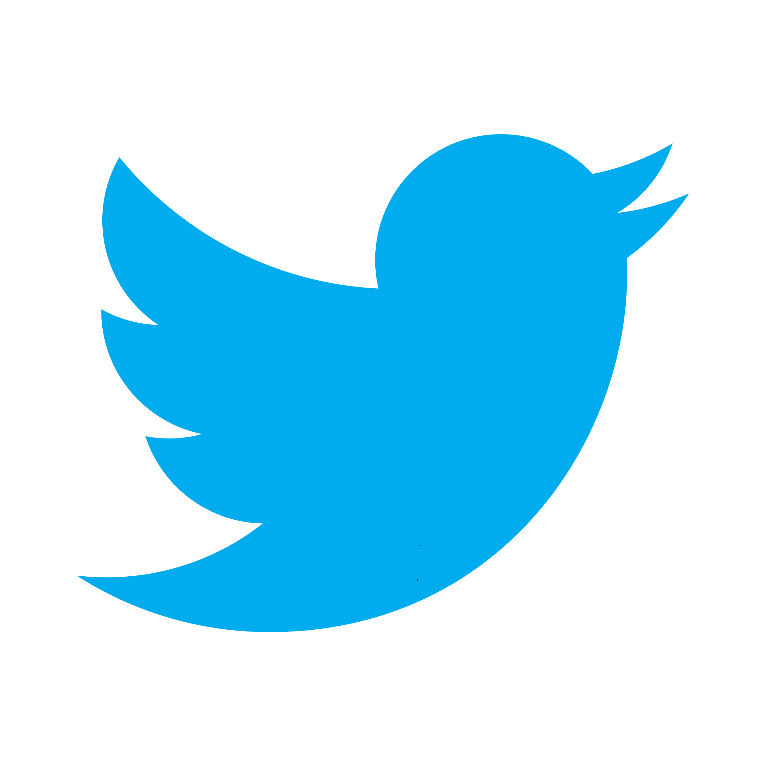 Twitter Logo PNG 1